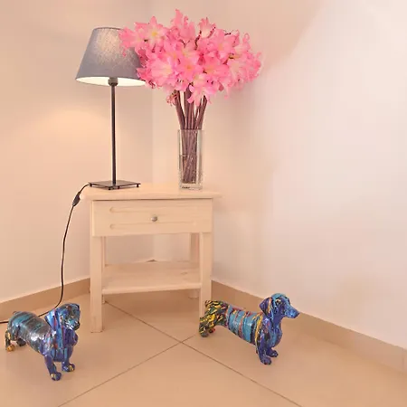 公寓 Lakithra Apartments *